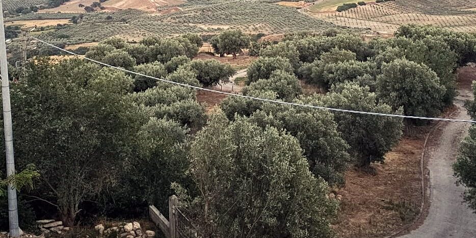 Calabria, Italy hillside